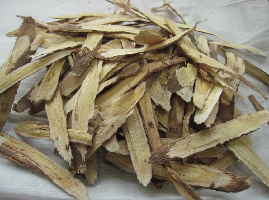 Astragalus Membranaceus Health Facts Time